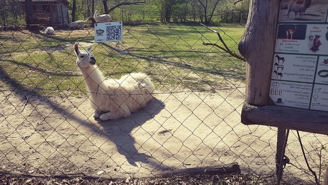 Acte necesare preschimbare permis